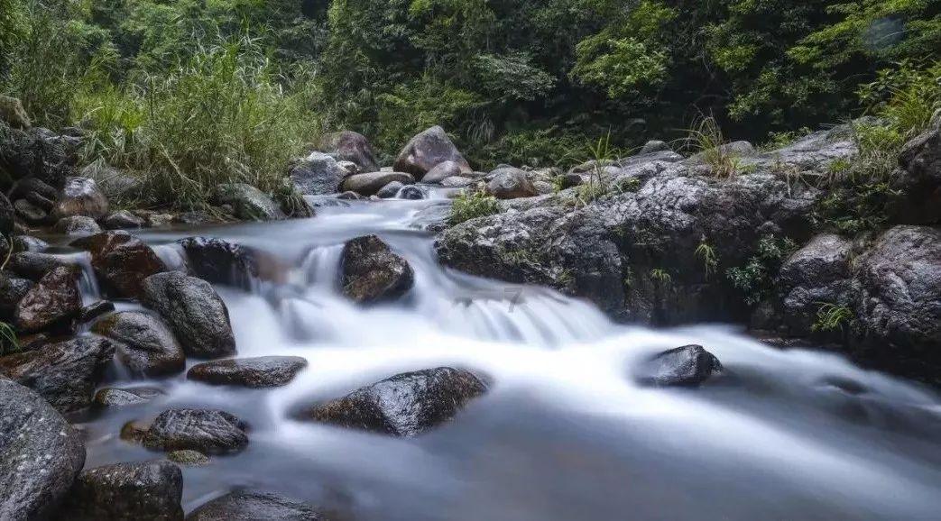 虫虫助手下载